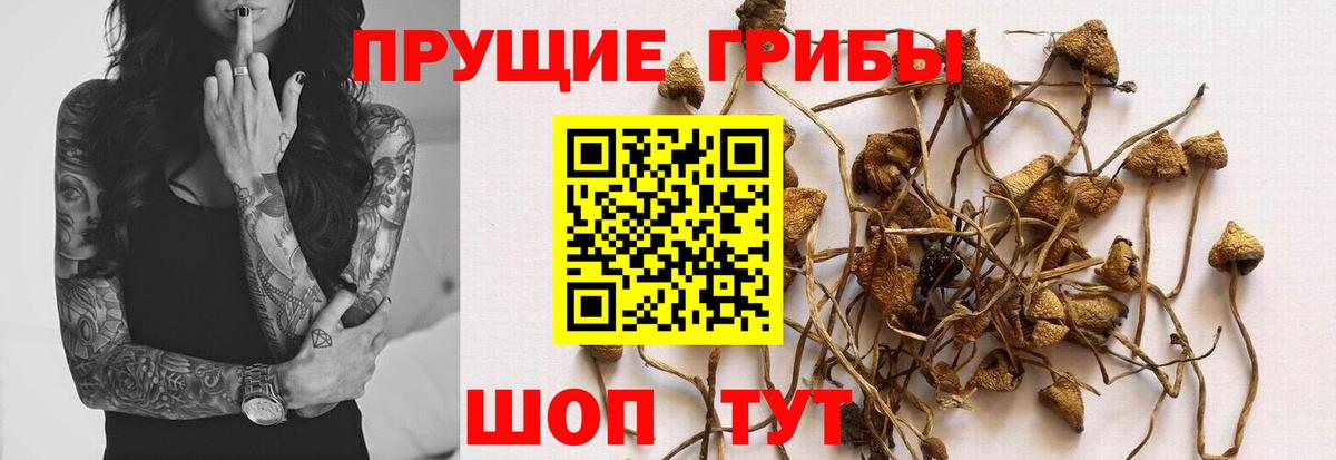 Псилоцибиновые грибы мухоморы  Галлюциногенные грибы Psilocybe  Вход с VPN  Норильск 